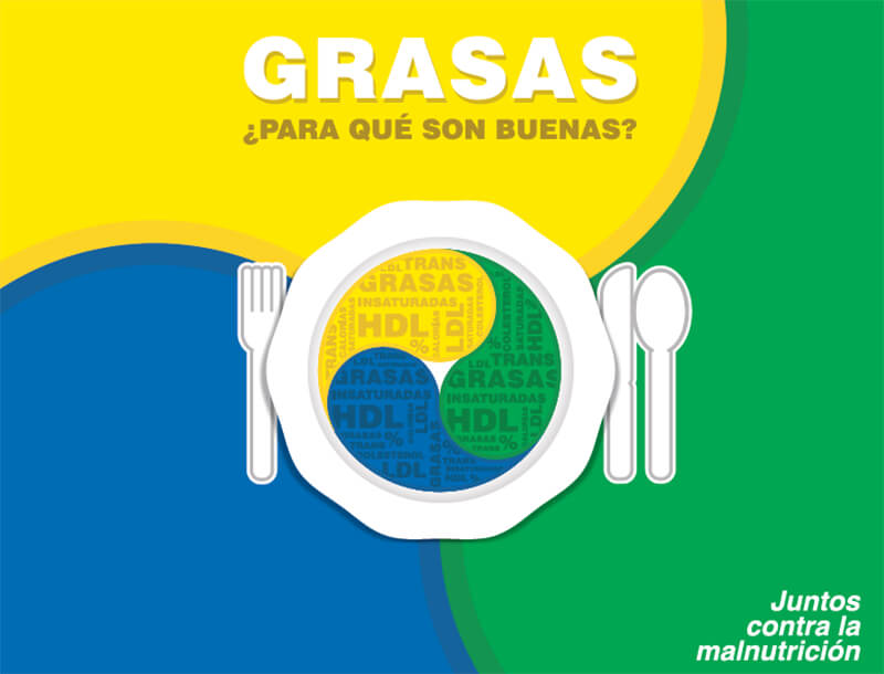 Guía 12: Grasas: ¿Para qué son buenas?